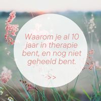 Waarom je al 10 jaar in therapie kunt zijn, en nog niet van je problemen af bent .zip - 1